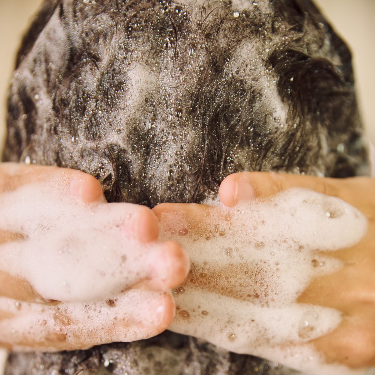 Shampoo & Conditioner